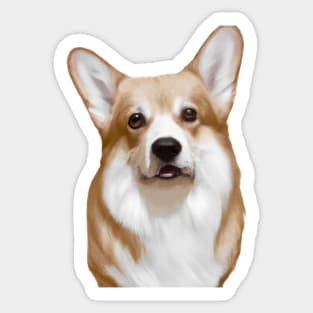 Cute Corgi Drawing Sticker